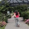 rosa_sepanta